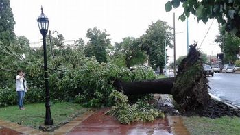 chivilcoy: scioli ordeno un operativo de emergencia para asistir chivilcoy: scioli ordeno un operativo de emergencia para asistir