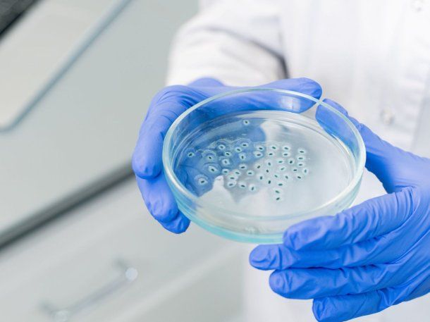 Delitos contra la integridad sexual: promulgaron la ley que amplía el registro de datos genéticos