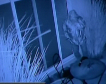 Para el entorno de Massa