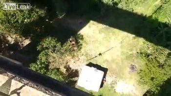 Hizo un salto de bungee jumping y murió Hizo un salto de bungee jumping y murió