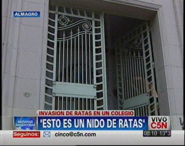 Cierran un colegio porteño por estar invadido de ratas