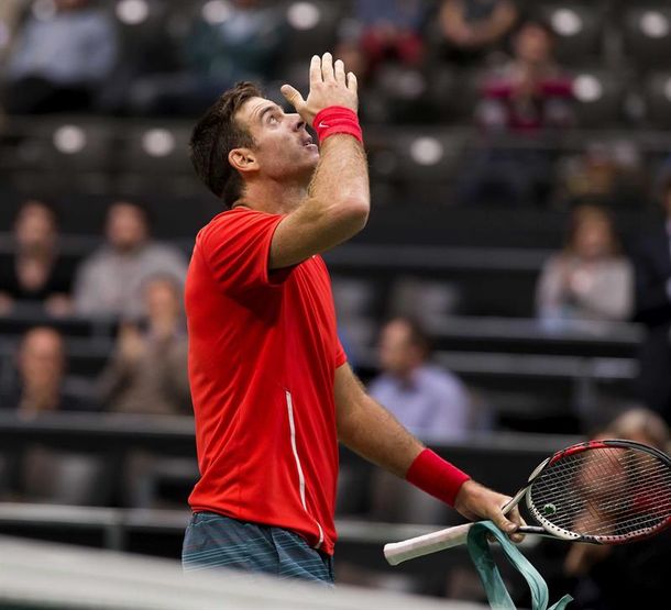 Del Potro aseguró que no volverá a jugar la Copa Davis durante 2014