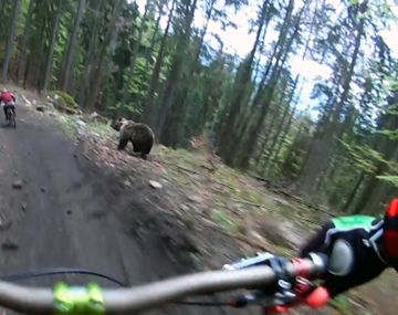 Dos ciclistas se pegaron un gran susto en Eslovaquia 