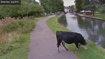 google street view le borro la cara a una vaca para proteger su privacidad google street view le borro la cara a una vaca para proteger su privacidad