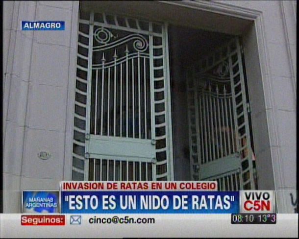 Cierran un colegio porteño por estar invadido de ratas