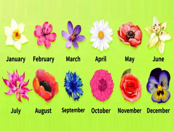 Test viral: conocé más de tu forma de ser según la flor que corresponde al mes de tu cumpleaños