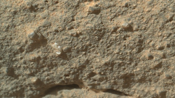 curiosity le tomo una fotografia a una flor marciana curiosity le tomo una fotografia a una flor marciana