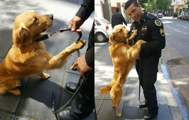 Perra experta en detectar explosivos en Casa Rosada.