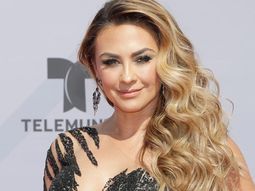 Aracely Aråmbula reapareció en las redes sociales. Aracely Aråmbula reapareció en las redes sociales.