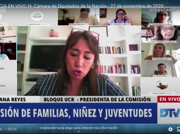 Diputados recibió a especialistas en niñez y educación