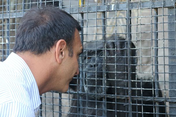 La historia de Cecilia