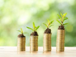 El Ministerio de Economía y Finanzas busca honrar los compromisos asumidos en el Acuerdo de París. El Ministerio de Economía y Finanzas busca honrar los compromisos asumidos en el Acuerdo de París.