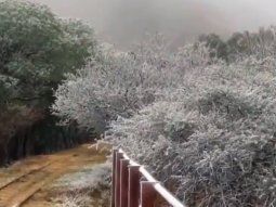 Frío polar, llegó la nieve a Jujuy: los mejores videos