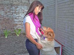 La mujer acusada de abandonar una perra en La Plata vive una pesadilla. Foto gentileza El Día