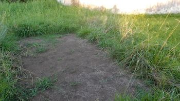 sin codigos: en el fin de semana mas caluroso del ano les robaron la pelopincho sin codigos: en el fin de semana mas caluroso del ano les robaron la pelopincho