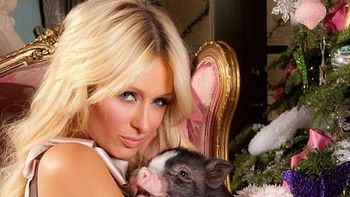 Paris_chan Paris_chan