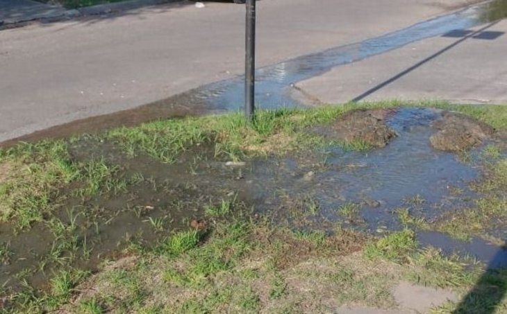 Foto: El Día de La Plata