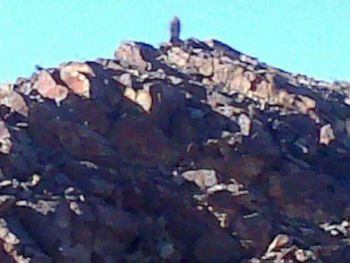 Difundieron la imagen de una supuesta virgen en un cerro de San Juan