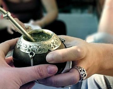 La yerba mate podría prevenir el Mal de Parkinson