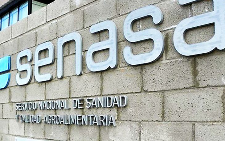 La medida de fuerza en el Senasa frenará las exportaciones durante 48 horas: cuándo