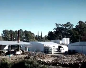 Tarifazo e importación descontrolada: la muerte de la industria textil en Argentina