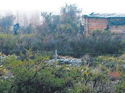 Última foto de Santiago Maldonado