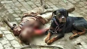 El perro al lado del cuerpo de su dueño después de asesinarlo El perro al lado del cuerpo de su dueño después de asesinarlo