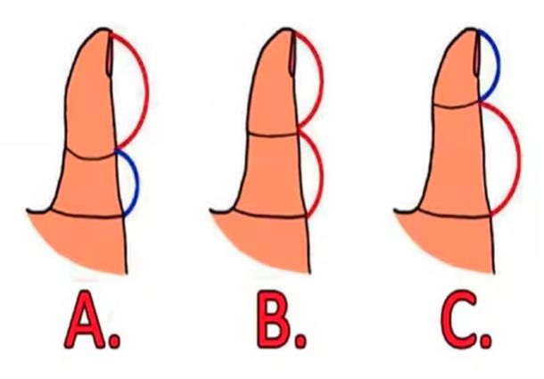 Test viral: la forma de tu dedo pulgar revelará información clave sobre tu personalidad