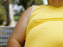 la obesidad afecta a la memoria y causa deterioro cognitivo la obesidad afecta a la memoria y causa deterioro cognitivo