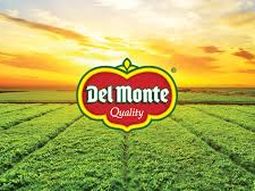 se declaro en quiebra en estados unidos un importante imperio alimenticio: que pasara con sus dos plantas en mexico se declaro en quiebra en estados unidos un importante imperio alimenticio: que pasara con sus dos plantas en mexico