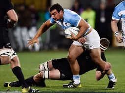los pumas buscan el choque con los all blacks: hay que ponerlos bajo presion los pumas buscan el choque con los all blacks: hay que ponerlos bajo presion
