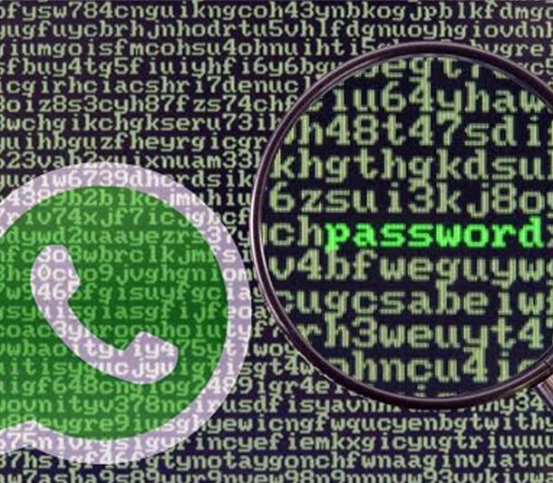 Alerta por la seguridad de WhatsApp: cualquiera puede leer tus conversaciones