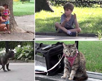 ¿A quién rescatarías primero? 