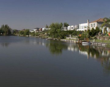 Invasión de carpinchos en Las Glorietas y otros barrios de Nordelta