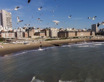 FOTOS: Sin humanos en la costa