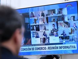 Control biométrico y votación vía app: la propuesta de home office para los Diputados