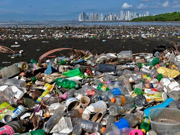 Preocupación mundial: todos los océanos están contaminados con plástico