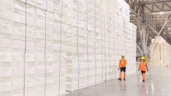 El rubro del papel fue el principal impulsor del crecimiento de la producción industrial en Uruguay. El rubro del papel fue el principal impulsor del crecimiento de la producción industrial en Uruguay.