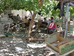 megaoperativo contra trabajo esclavo: 80 allanamientos megaoperativo contra trabajo esclavo: 80 allanamientos