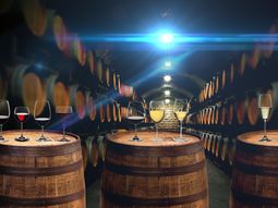 Cada vino tiene su temperatura ideal Cada vino tiene su temperatura ideal