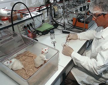 Científicos realizarán una lavada de platos simbólica contra Macri