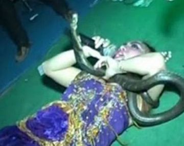 Una cantante murió en el escenario tras ser picada por una de sus cobras