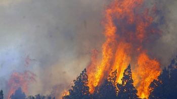 escandalo en cholila: denuncian que falsos voluntarios vendian las donaciones para los incendios escandalo en cholila: denuncian que falsos voluntarios vendian las donaciones para los incendios