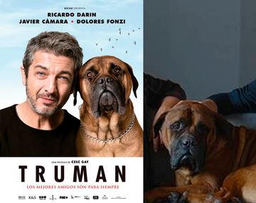 La historia del perro de la nueva película de Darín