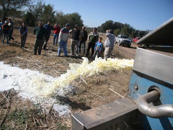 Repudio al derramamiento de leche