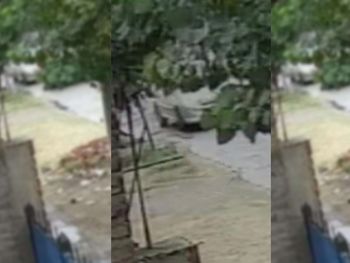 VIDEO: así fue el accidente en el que el chofer de Uber atropelló y mató a la docente en Bernal