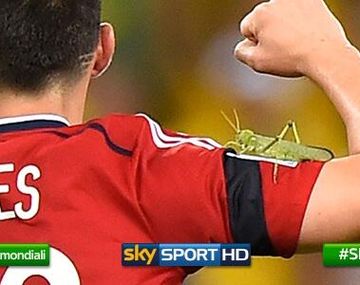 Un grillo se posó en el hombro de James Rodríguez en pleno festejo cafetero