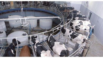 El mercado aguarda un mejor 2024 para la industria láctea. El mercado aguarda un mejor 2024 para la industria láctea.