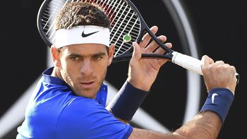 del potro jugara la copa davis en la serie ante italia del potro jugara la copa davis en la serie ante italia