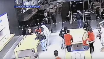 Dos grupos de delincuentes roban un local de Apple en segundos Dos grupos de delincuentes roban un local de Apple en segundos